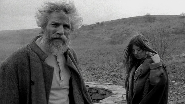 The Turin Horse (Source: themoviedb.org)