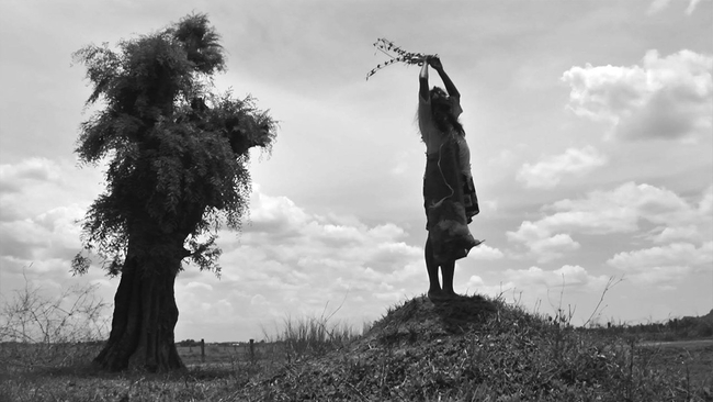 The Turin Horse (Source: themoviedb.org)