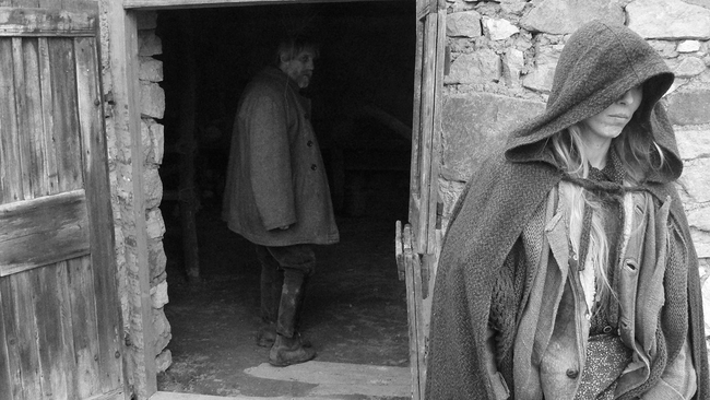 The Turin Horse (Source: themoviedb.org)