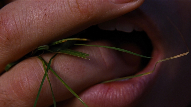 Wuthering Heights (Emerald Fennell)