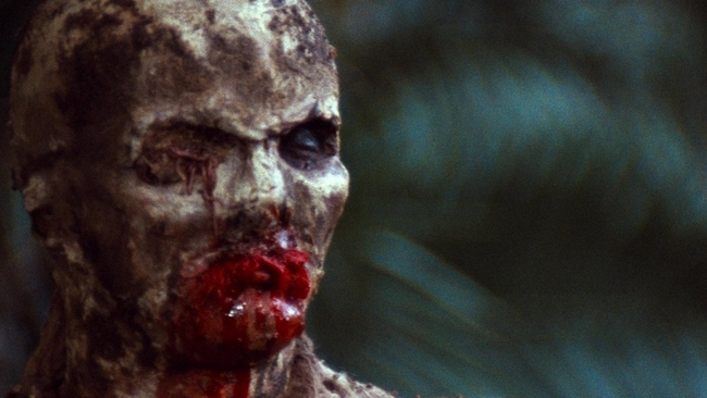 Zombi 2 (Source: themoviedb.org)