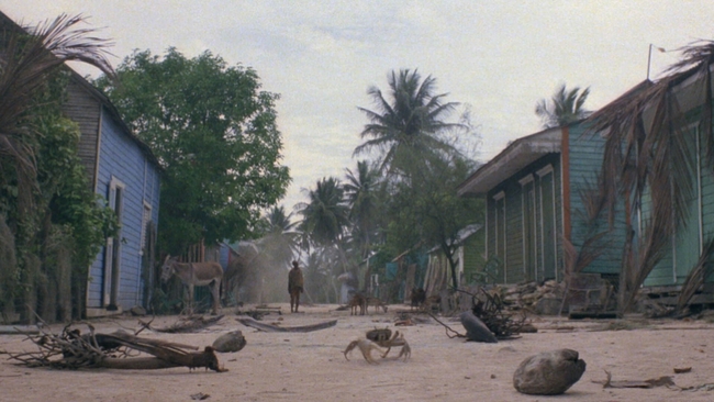 Zombi 2 (Source: themoviedb.org)