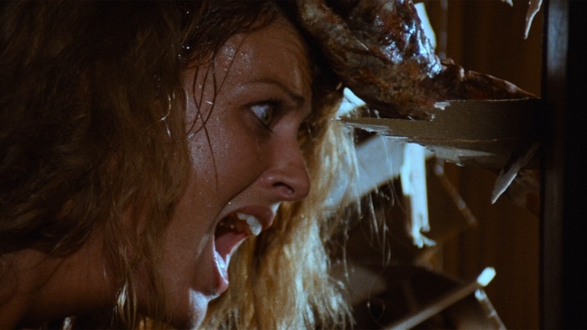 Zombi 2 (Source: themoviedb.org)
