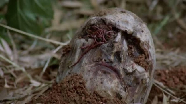 Zombi 2 (Source: themoviedb.org)