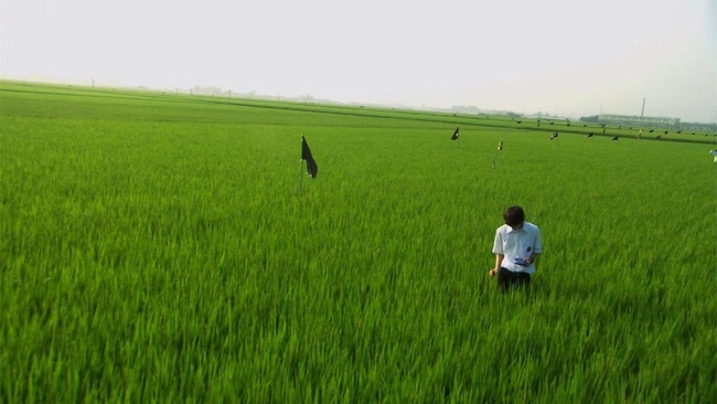 All About Lily Chou-Chou (Source: themoviedb.org)