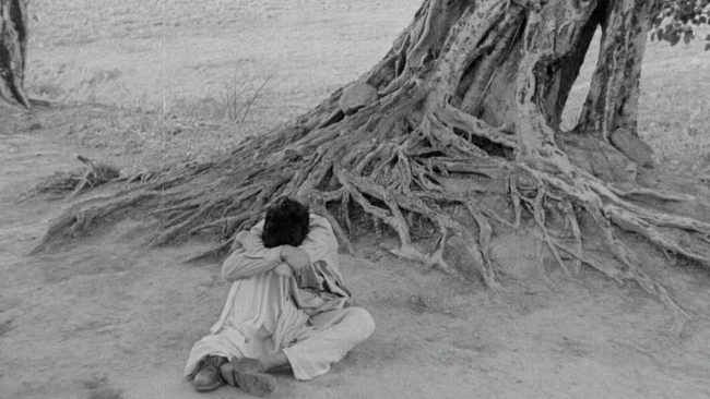 Aparajito (Source: themoviedb.org)