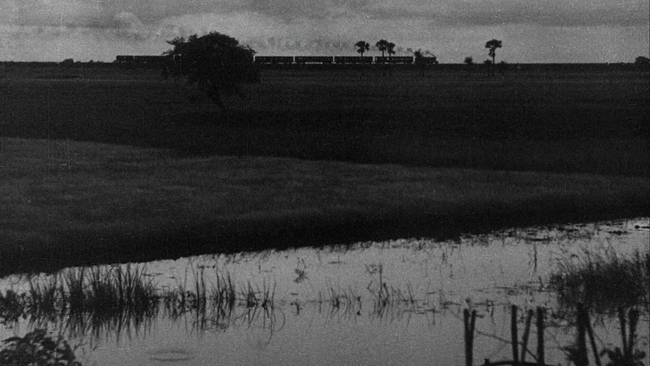 Aparajito (Source: themoviedb.org)