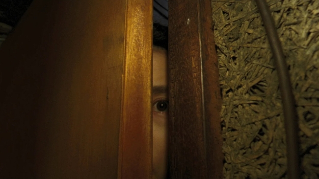 Goodbye, Dragon Inn (Source: themoviedb.org)