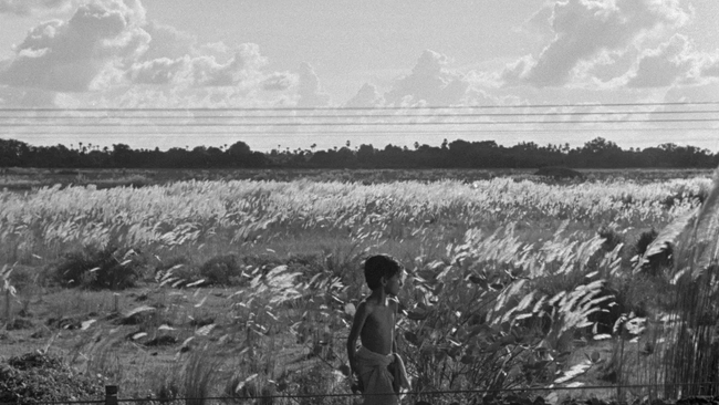 Pather Pancali (Source: themoviedb.org)
