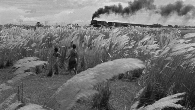 Pather Pancali (Source: themoviedb.org)