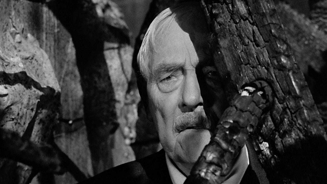 Smultronstället (Source: themoviedb.org)