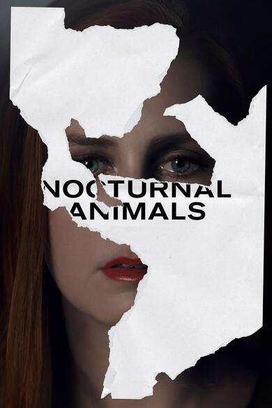 Nocturnal Animals Poster (Source: themoviedb.org)