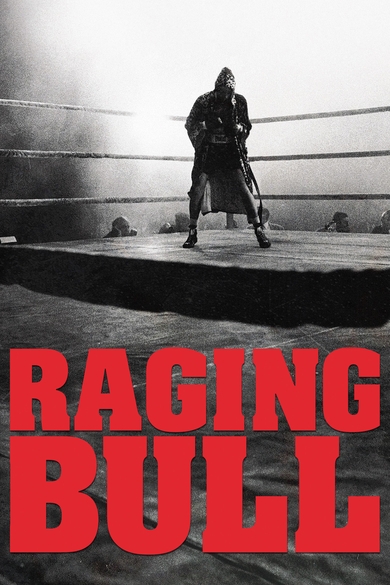 Raging Bull Poster (Source: themoviedb.org)