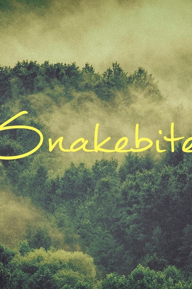Snakebite