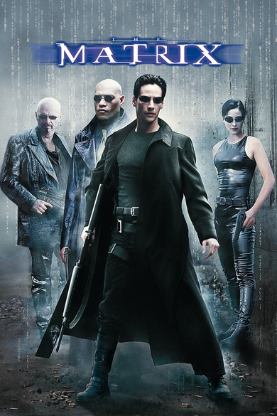 Matrix Poster (Source: themoviedb.org)