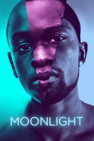 Moonlight Poster (Source: themoviedb.org)