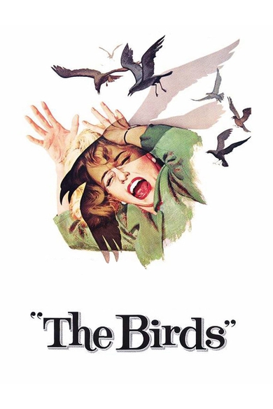 The Birds Poster (Source: themoviedb.org)