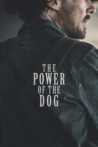 The Power of the Dog Poster (Source: themoviedb.org)