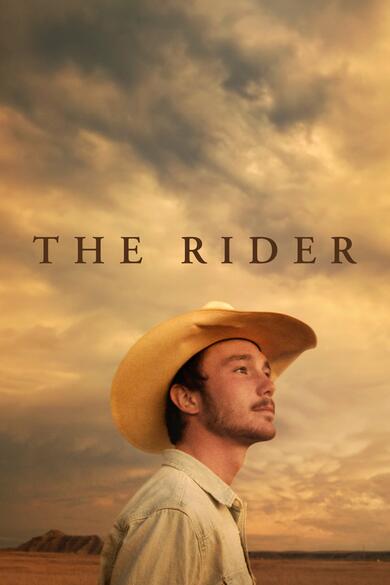 The Rider Poster (Source: themoviedb.org)