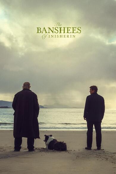 The Banshees of Inisherin Poster (Source: themoviedb.org)