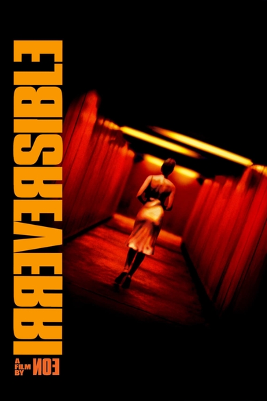 Irreversible Poster (Source: themoviedb.org)