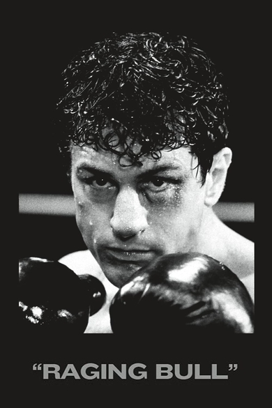 Raging Bull Poster (Source: themoviedb.org)