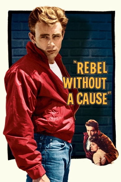 Rebel Without a Cause Poster (Source: themoviedb.org)