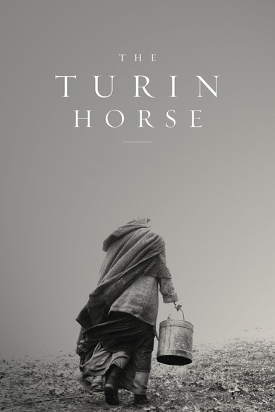 The Turin Horse Poster (Source: themoviedb.org)