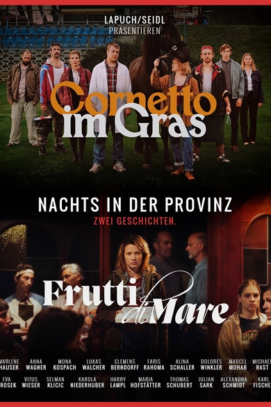 Nachts in der Provinz Poster (Source: themoviedb.org)