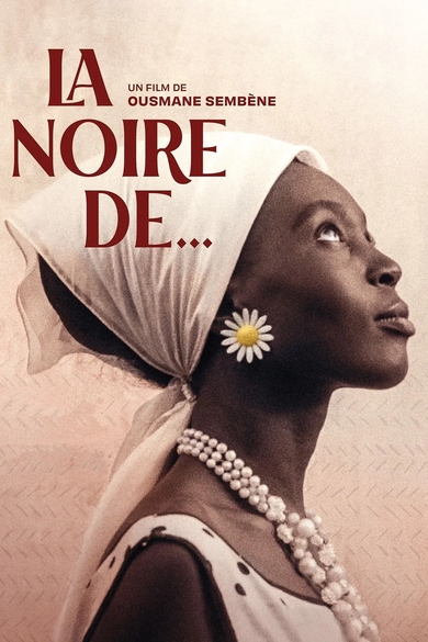 La noir de... Poster (Source: themoviedb.org)