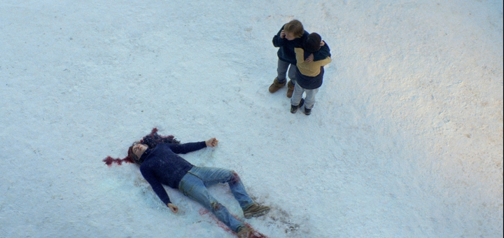 Anatomy of a Fall (Source: themoviedb.org)