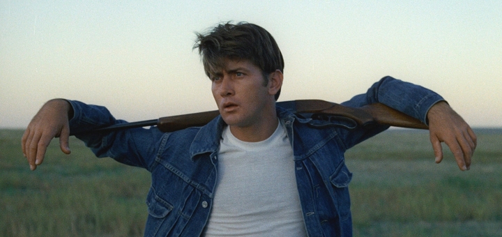 Badlands (Source: themoviedb.org)