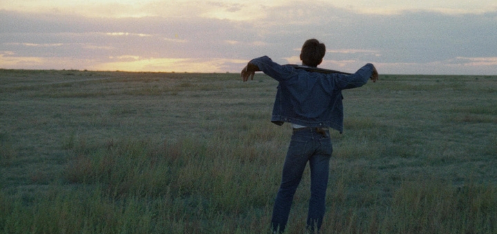 Badlands (Source: themoviedb.org)