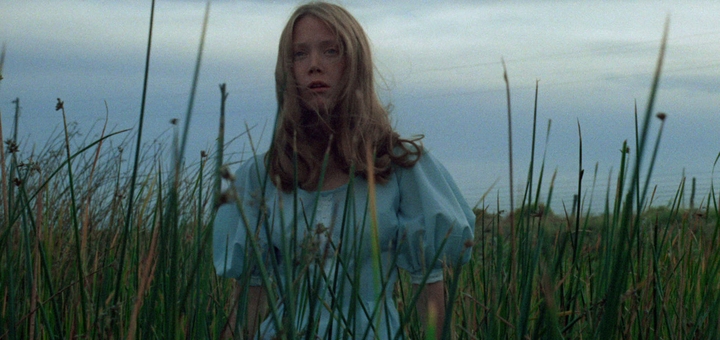 Badlands (Source: themoviedb.org)
