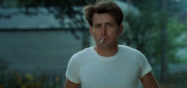 Badlands (Source: themoviedb.org)