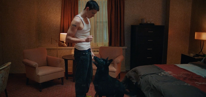 Babygirl (Source: themoviedb.org)