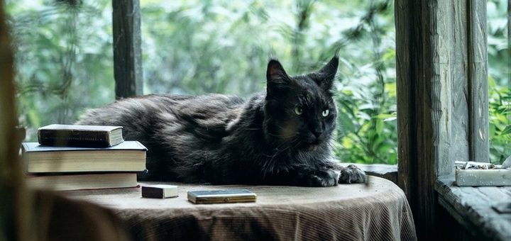 Master i Margarita (Source: themoviedb.org)