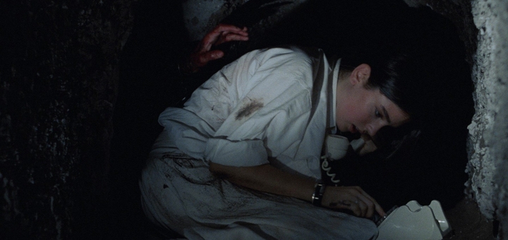 Phenomena (Source: themoviedb.org)