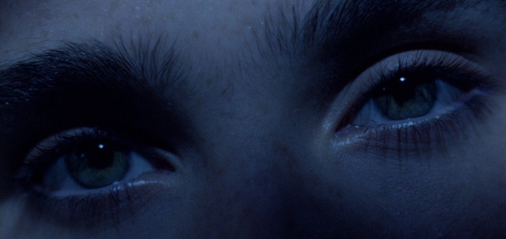 Phenomena (Source: themoviedb.org)
